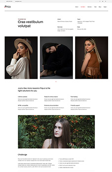 Layout 1